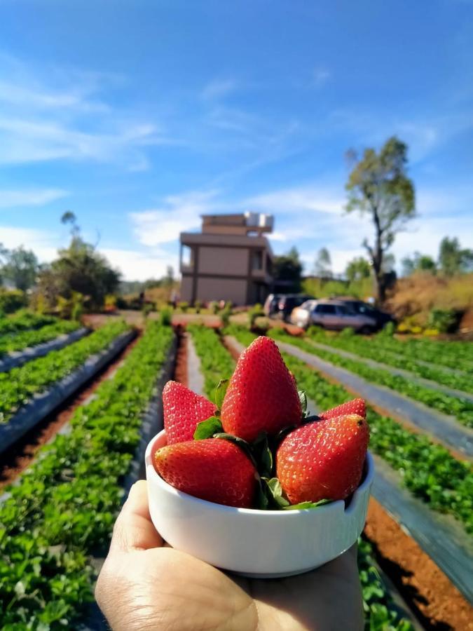 Divine Resort - Mahabaleshwar Panchgani Buitenkant foto